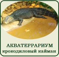 Купить террариум для крокодила