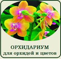 Купить орхидариум террариум для орхидей и растений